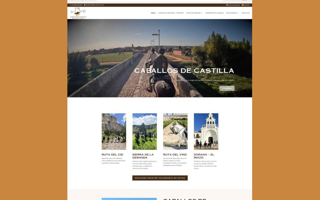 Página Web Caballos de Castilla