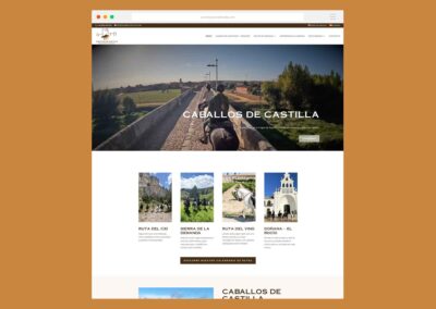 Página Web Caballos de Castilla